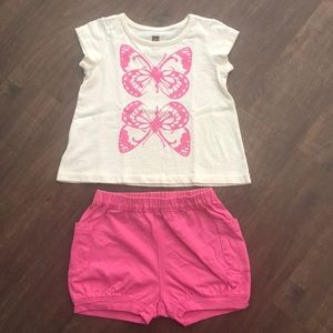 Tea Collection 12-18 month outfit